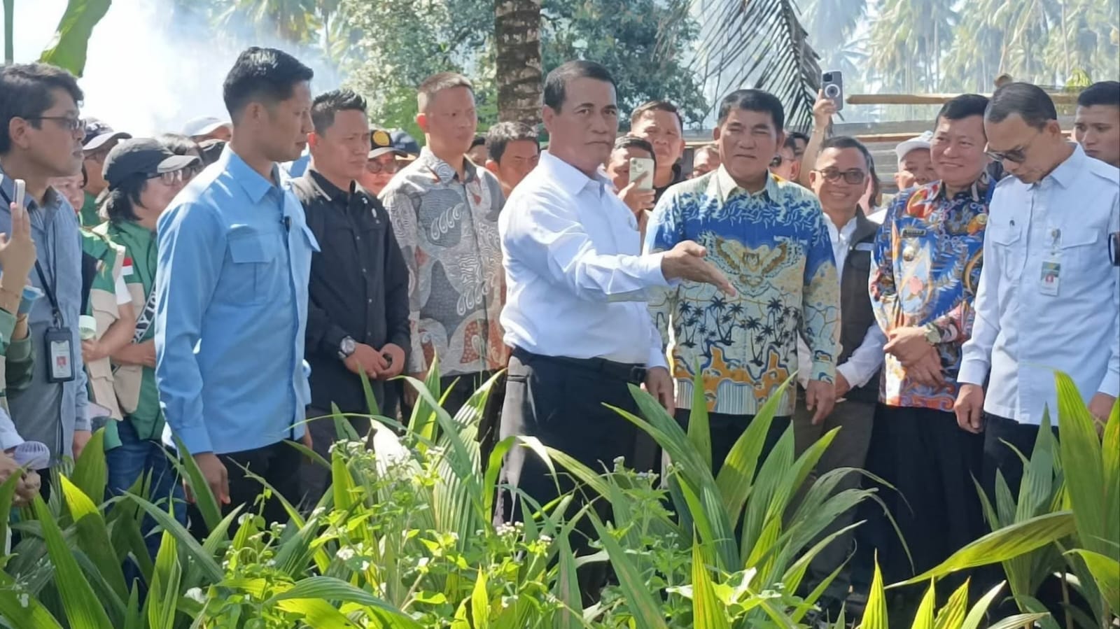 Lakukan Sidak di Manado, Menteri Pertanian Tambah Bantuan Bibit Jagung 15.000 Hektar